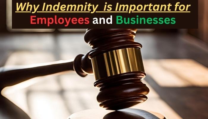 Indemnity why is it important for employees and businesses